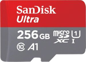Carte mémoire microSDXC UHS-I SanDisk 256 Go pour Nintendo Switch