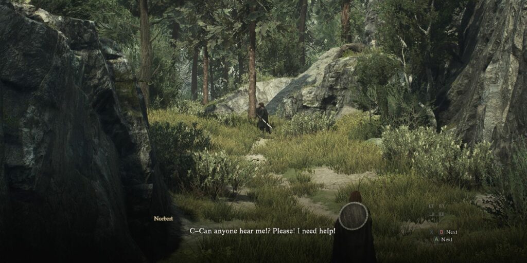 Guide pas à pas de Dragon's Dogma 2 : Brothers