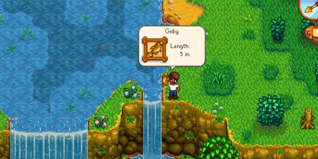 Stardew Valley : Comment attraper le poisson Gobie