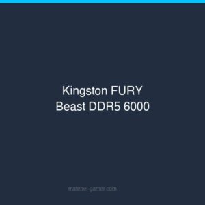 Kingston FURY Beast DDR5 32Go 6000MHz